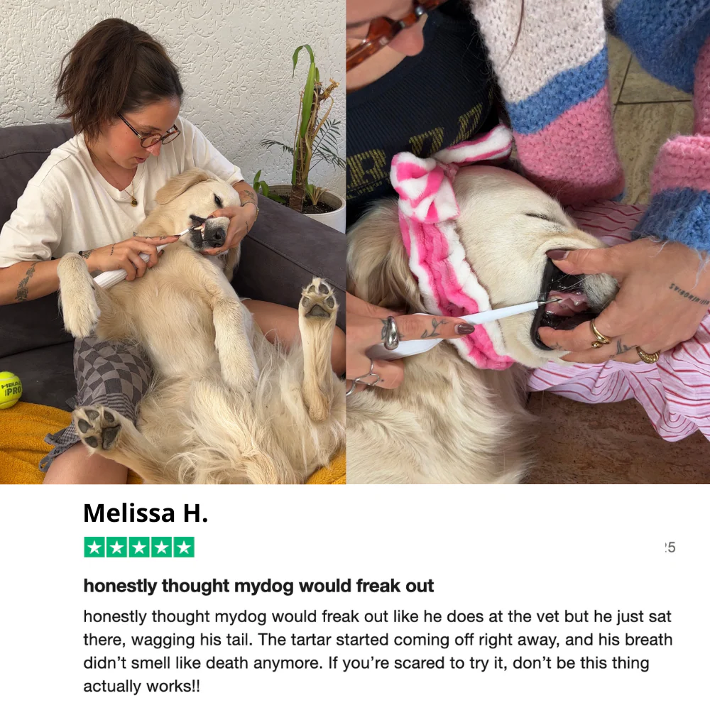 Mirovia Kit - Silent Sonic Plaque & Tartar Remover for dogs
