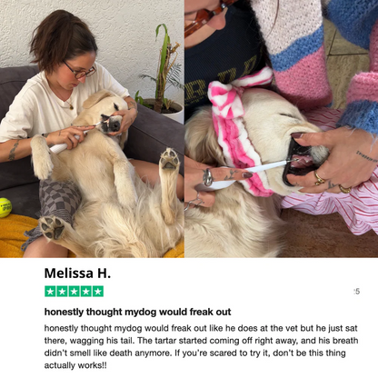Mirovia Kit - Silent Sonic Plaque & Tartar Remover for dogs