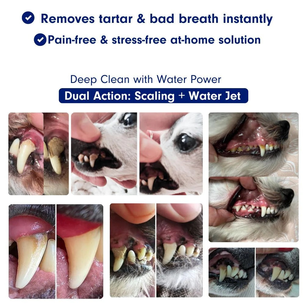 Mirovia Kit - Silent Sonic Plaque & Tartar Remover for dogs