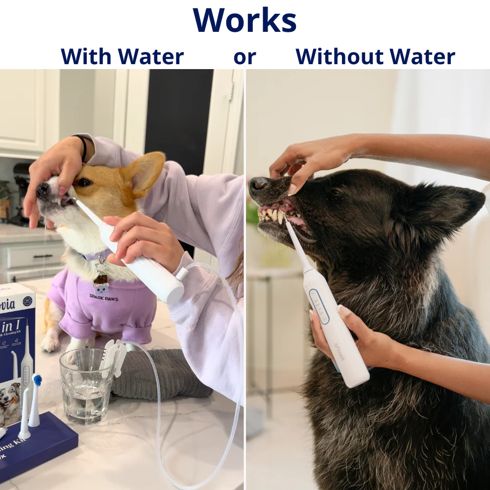 Mirovia Kit - Silent Sonic Plaque & Tartar Remover for dogs