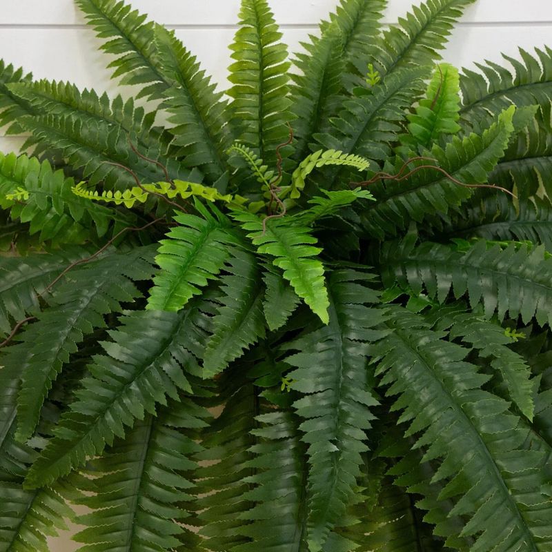 Last Day 70% OFF-UV Resistant Lifelike Artificial Boston Fern