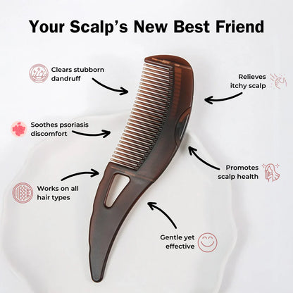 Clyvea Scalp Detox Comb
