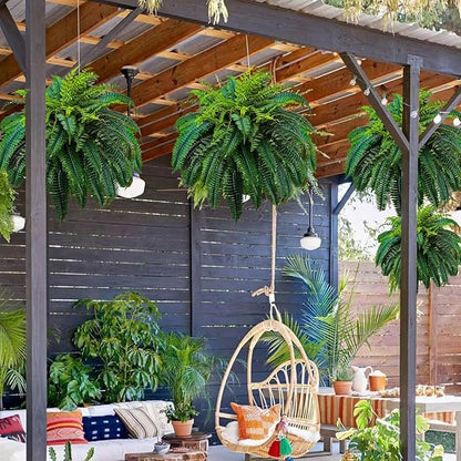 Last Day 70% OFF-UV Resistant Lifelike Artificial Boston Fern