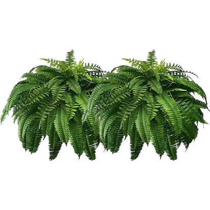 Last Day 70% OFF-UV Resistant Lifelike Artificial Boston Fern