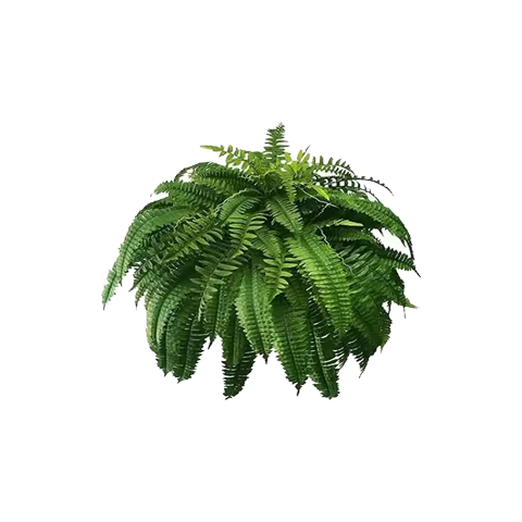 Last Day 70% OFF-UV Resistant Lifelike Artificial Boston Fern