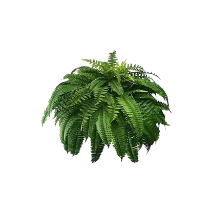 Last Day 70% OFF-UV Resistant Lifelike Artificial Boston Fern