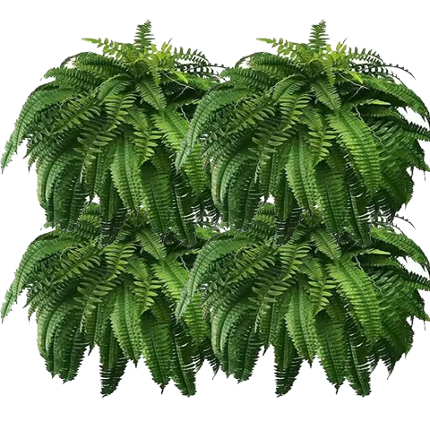 Last Day 70% OFF-UV Resistant Lifelike Artificial Boston Fern